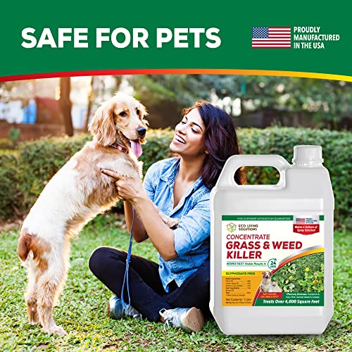 Weed Killer Concentrate H412587