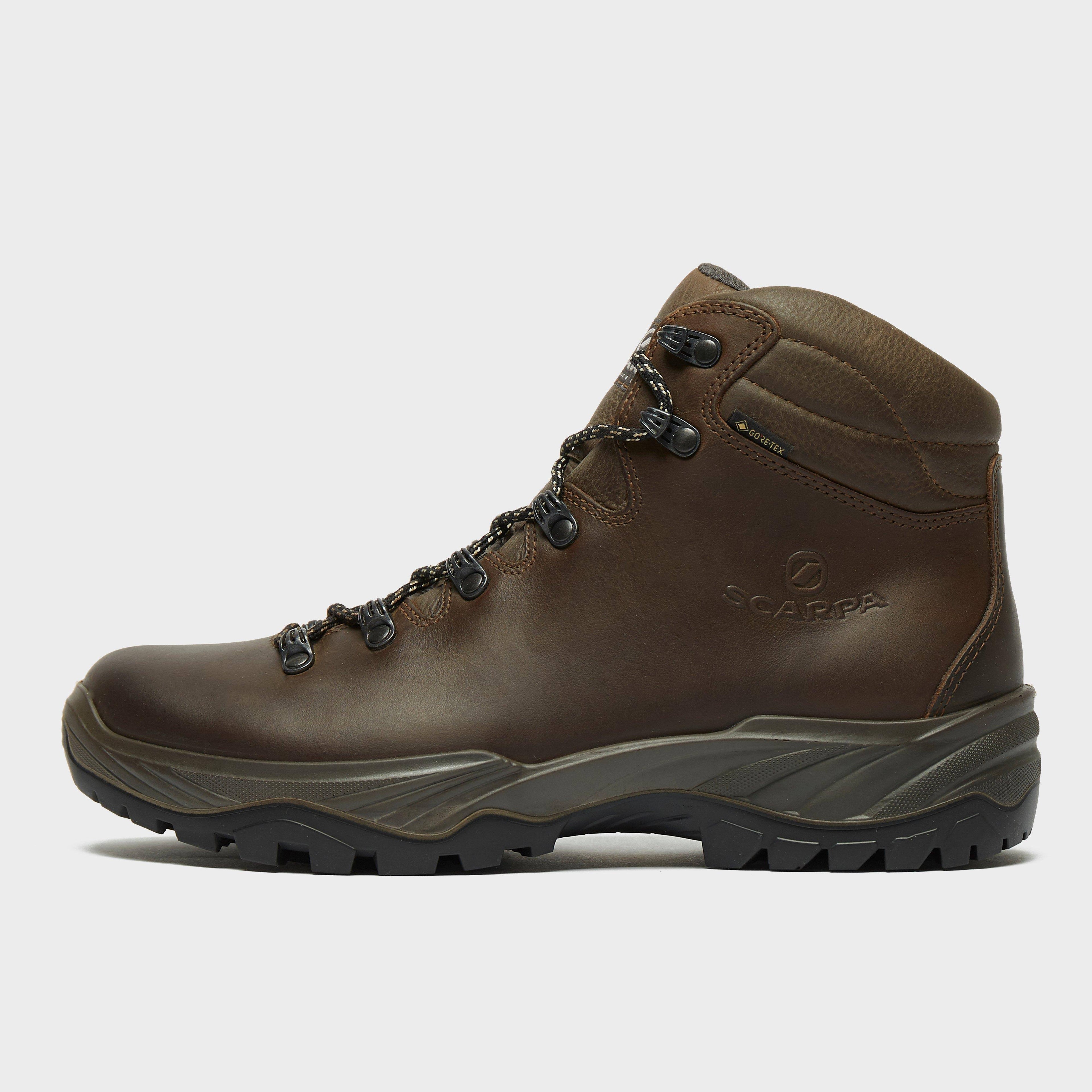 Brown Terra GTX Shoes J624