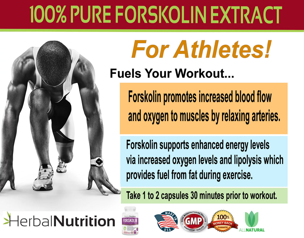90 Capsules Forskolin Extract Supplement Y284941