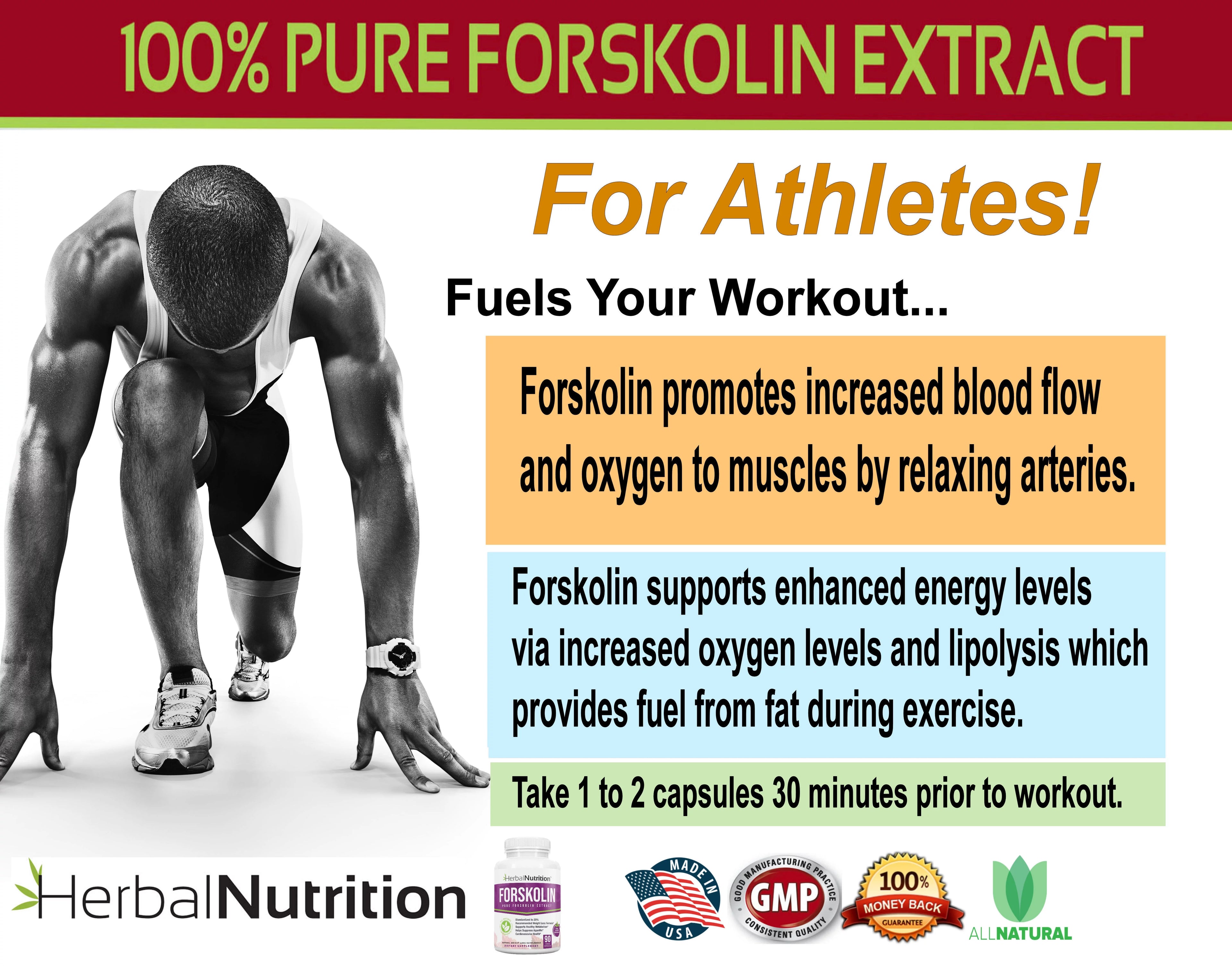 90 Capsules Forskolin Extract Supplement Y284941