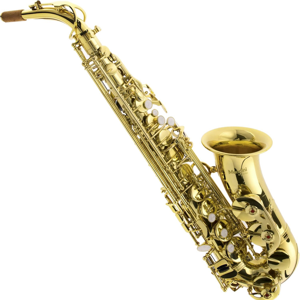 E Flat Alto Saxophone with Case, Mouthpiece, Stand, Reeds, Cloths A8078