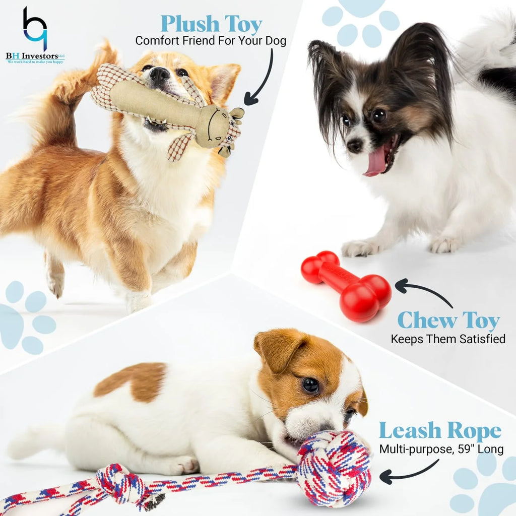 Puppy Starter Kit L973