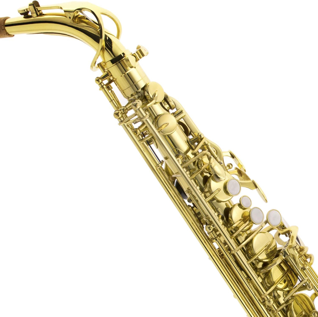 E Flat Alto Saxophone with Case, Mouthpiece, Stand, Reeds, Cloths A8078