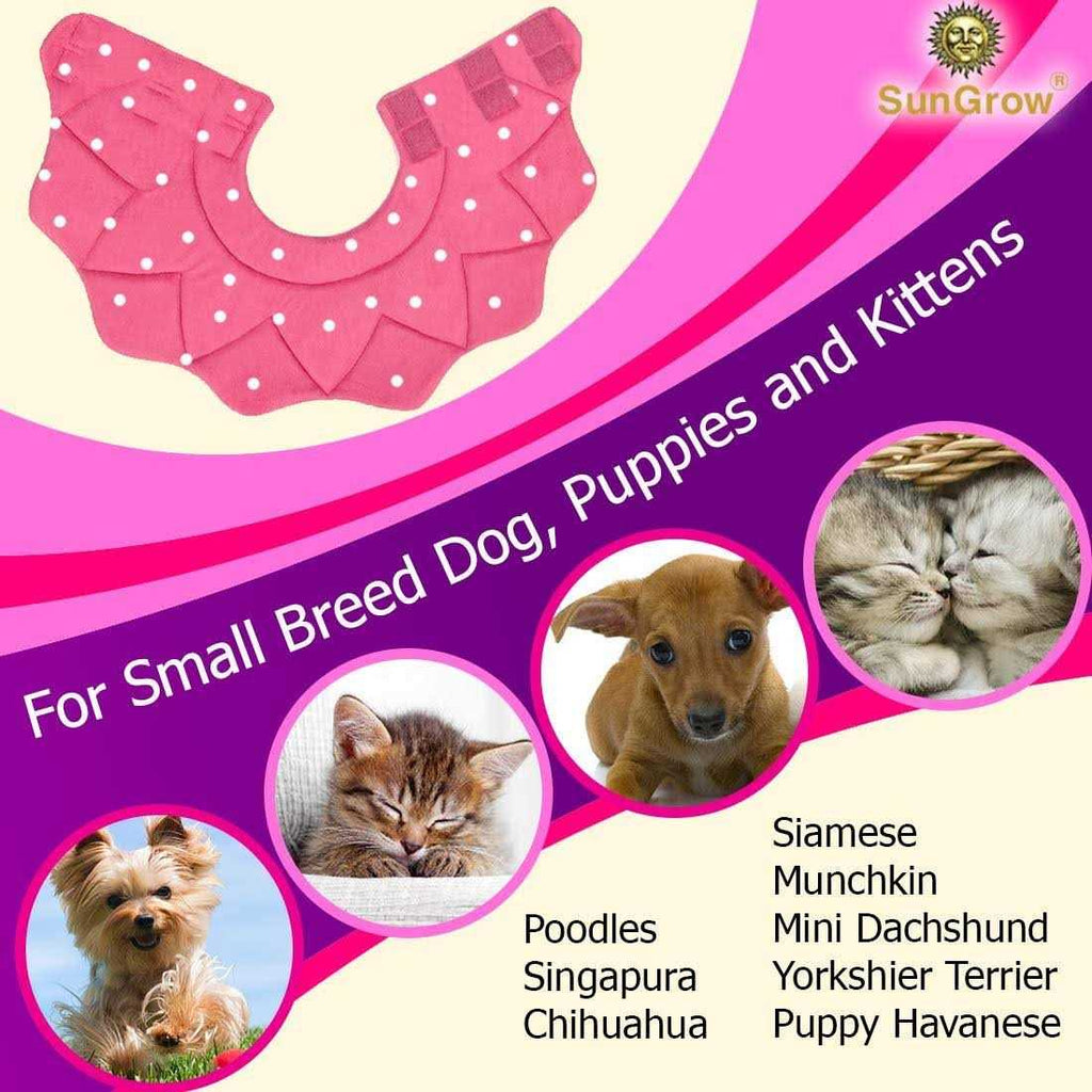 Soft e Collar for Small Dogs & Cats L485