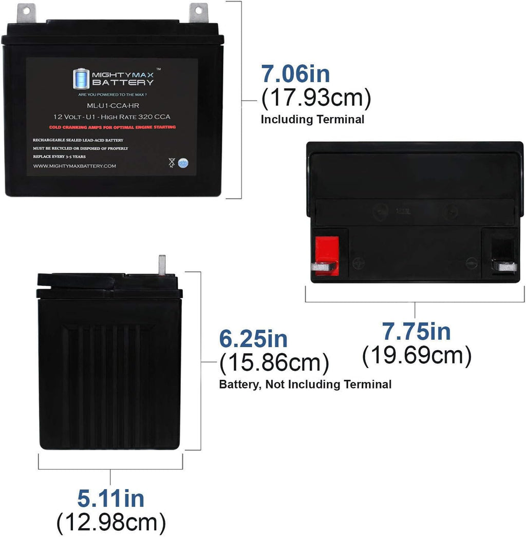 12V 320CCA Battery L24832
