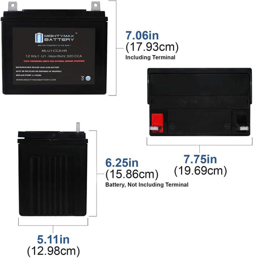 12V 320CCA Battery L24832