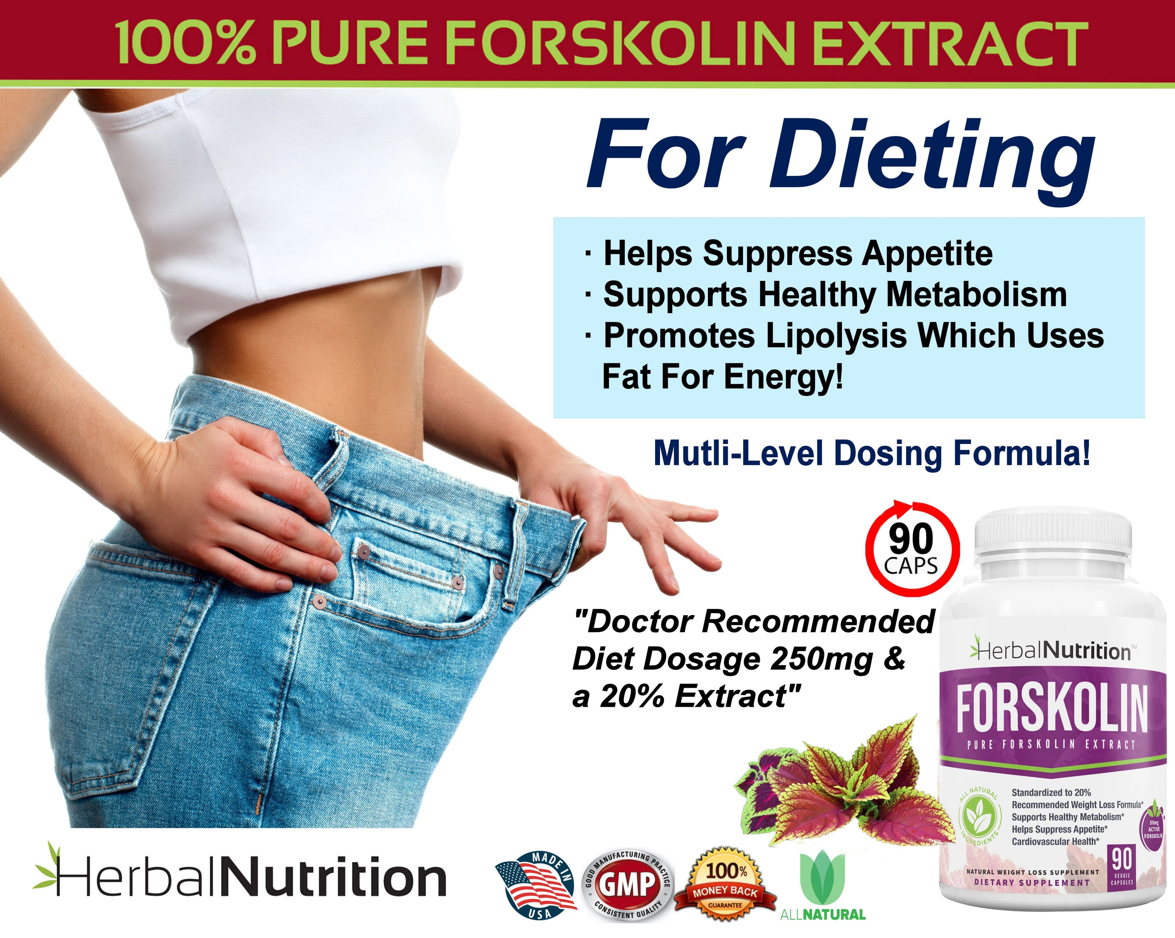 90 Capsules Forskolin Extract Supplement Y284941
