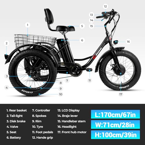 Electric Tricycle with 20" x 4.0 Fat Tire, 36V 350W 13Ah Lithium Battery G121128