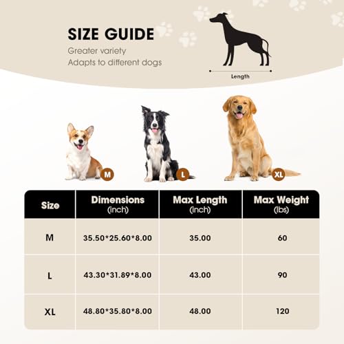 Elevated Dog Bed for Extra Large Dog with Breathable Mesh D795663