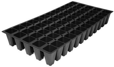 10 Live Plants Evergreen Ground Cover G139111