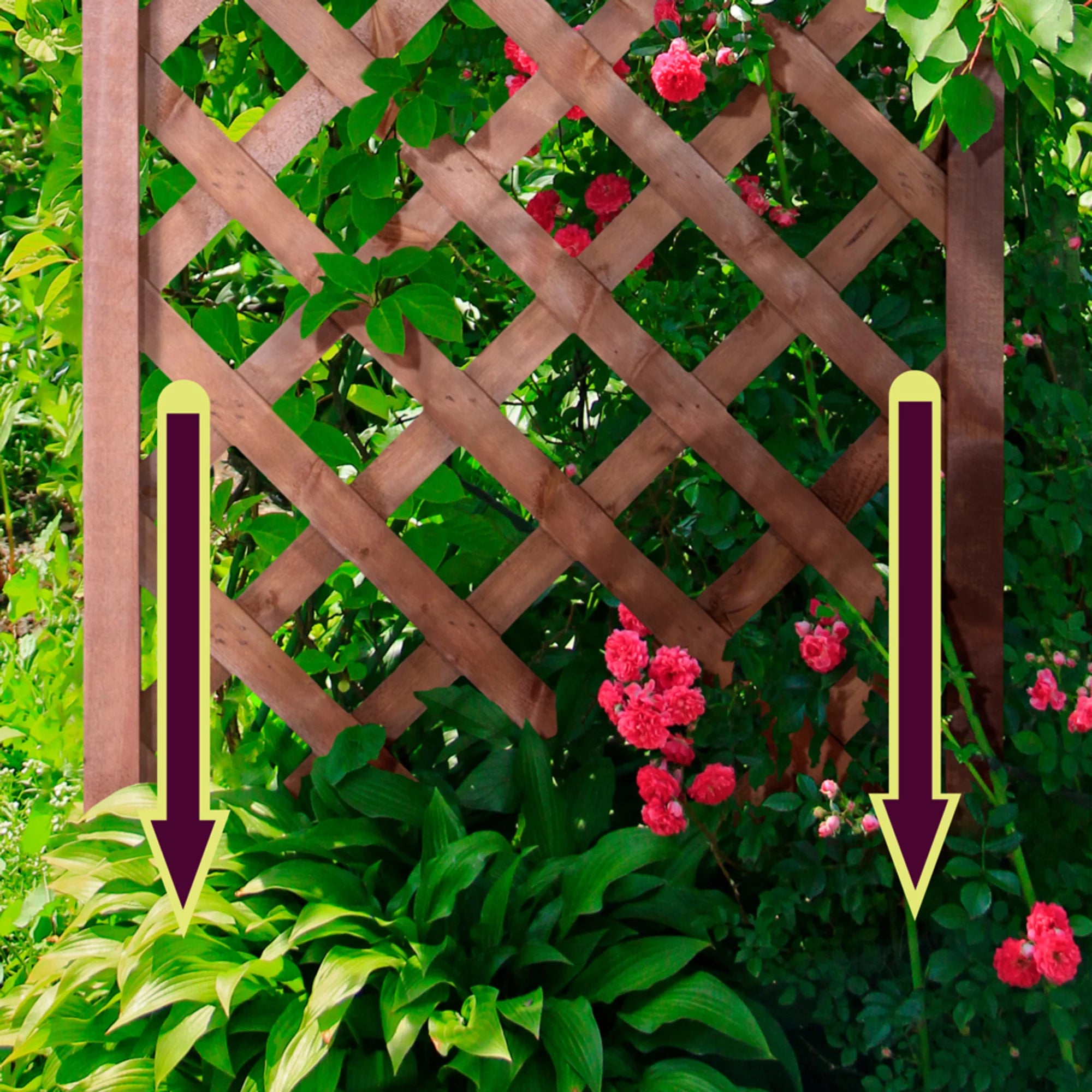 Walnut-Tone Diamond Lattice Trellis K5157