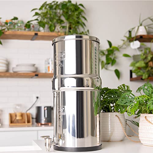 Gravity-Fed Water Filter System Y129147