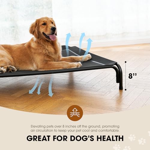Elevated Dog Bed for Extra Large Dog with Breathable Mesh D795663