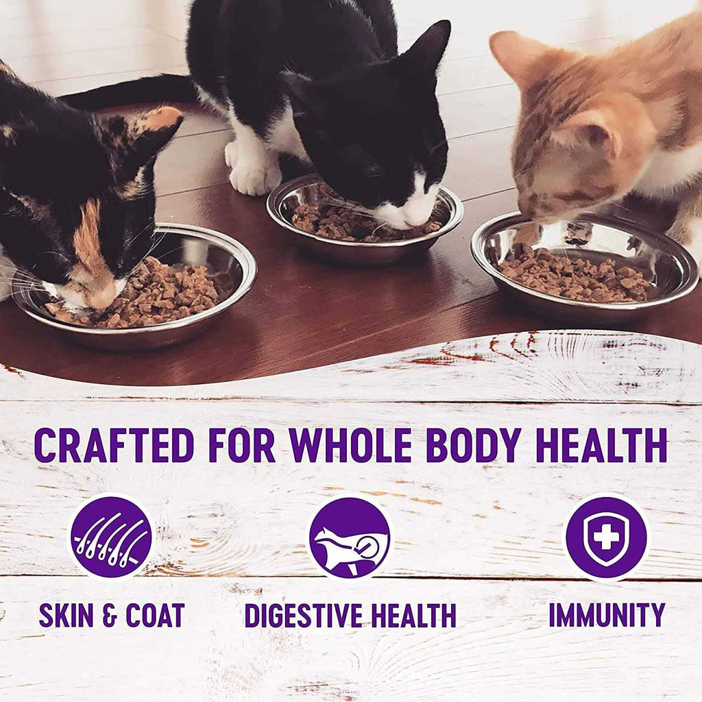 12 Pack Canned Cat Wet Food Pate Variety Pack T423