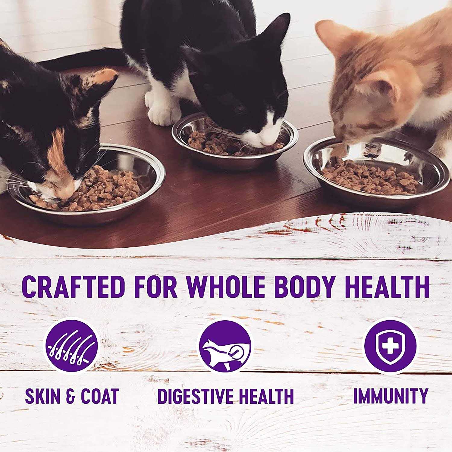 12 Pack Canned Cat Wet Food Pate Variety Pack T423