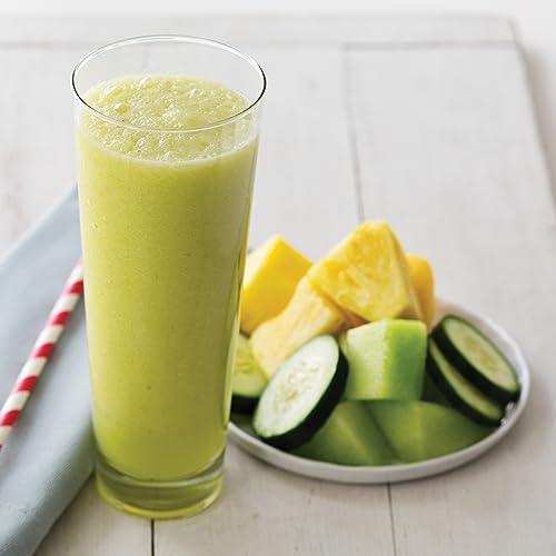 Compact Personal Blender N785
