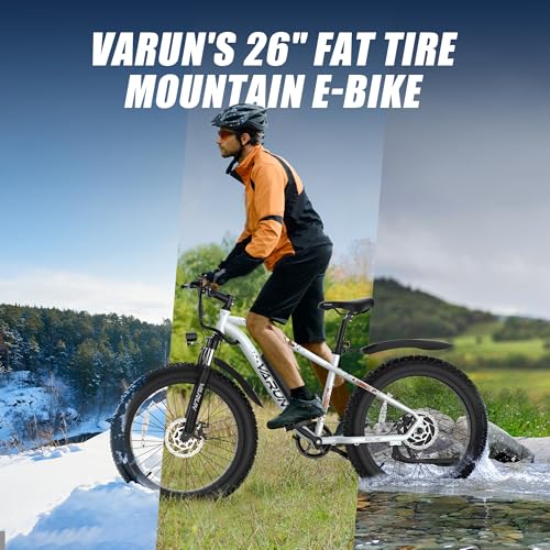 Fat Tire Electric Bike 26" 7-Speed Z15289