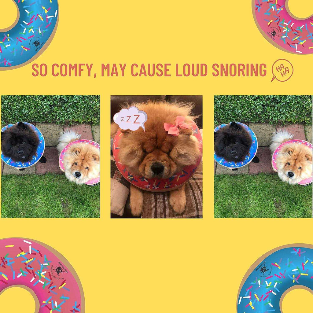 Dog Donut Collar Z425