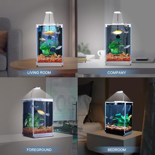 1.5 Gallon Float Glass Fish Tank Starter Kit B441579
