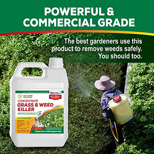 Weed Killer Concentrate H412587