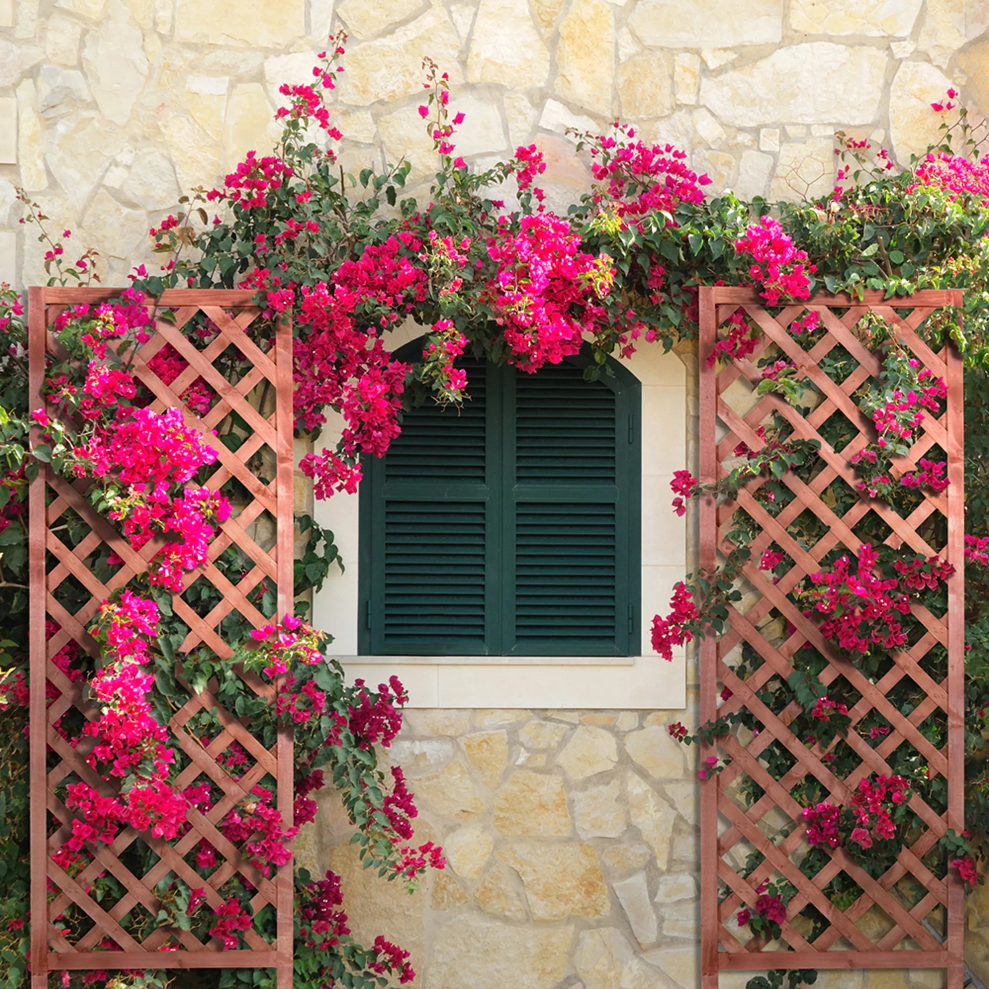 Walnut-Tone Diamond Lattice Trellis K5157