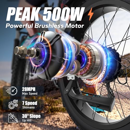 Fat Tire Electric Bike 26" 7-Speed Z15289