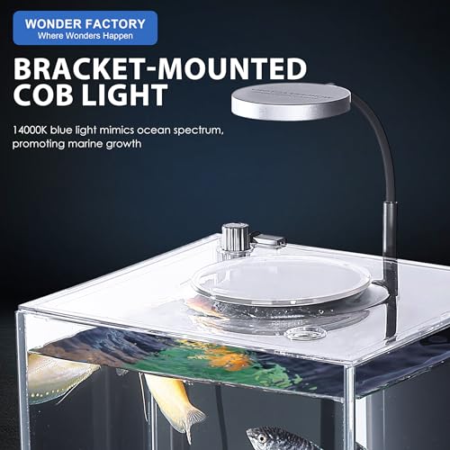 1.5 Gallon Float Glass Fish Tank Starter Kit B441579
