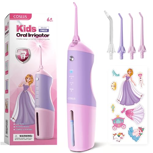Portable Water Dental Flosser with 4 Jet Tips O379780