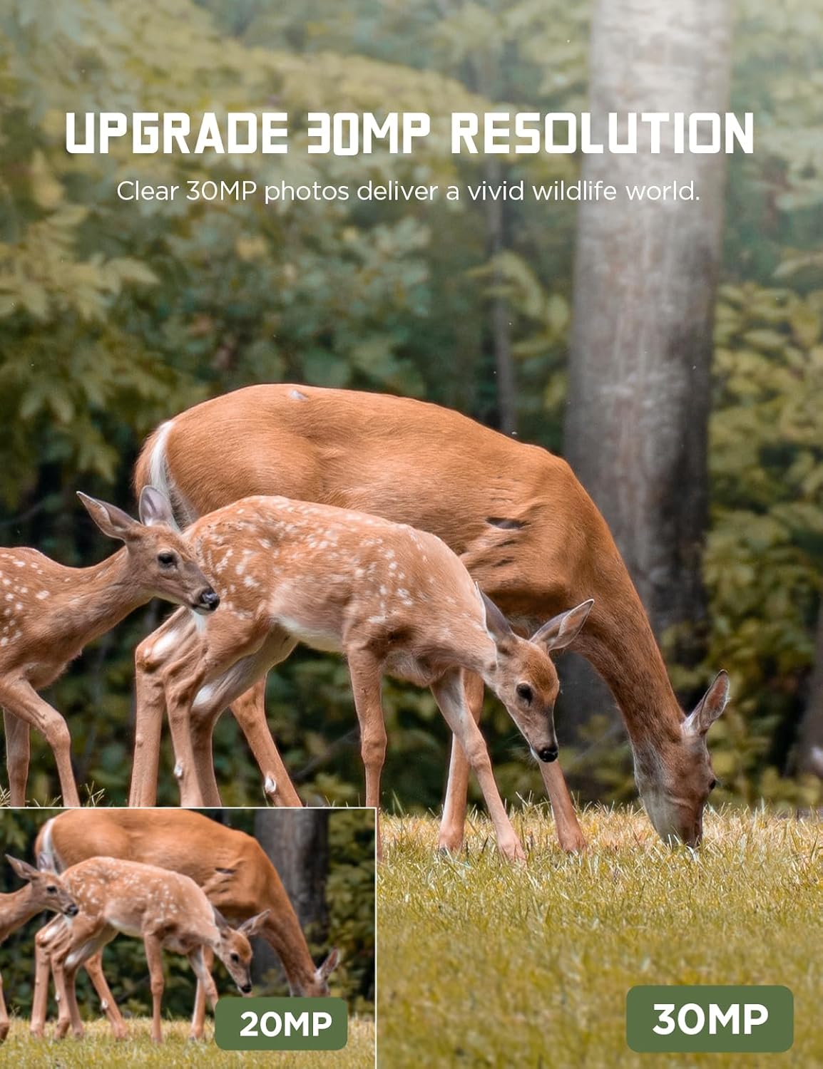 30MP 1080P Trail Camera with Low Glow IR LEDs Night Vision Motion Activated IP66 Waterproof E709