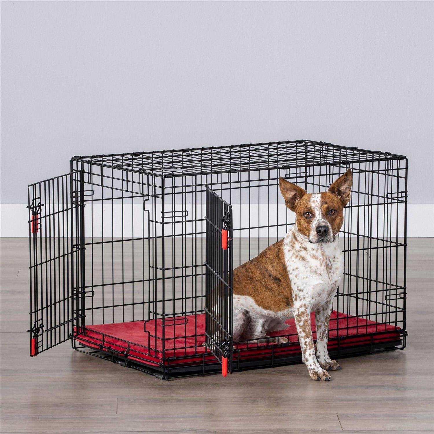 KONG Double Door Wire Dog Crate with Divider Panel L9070
