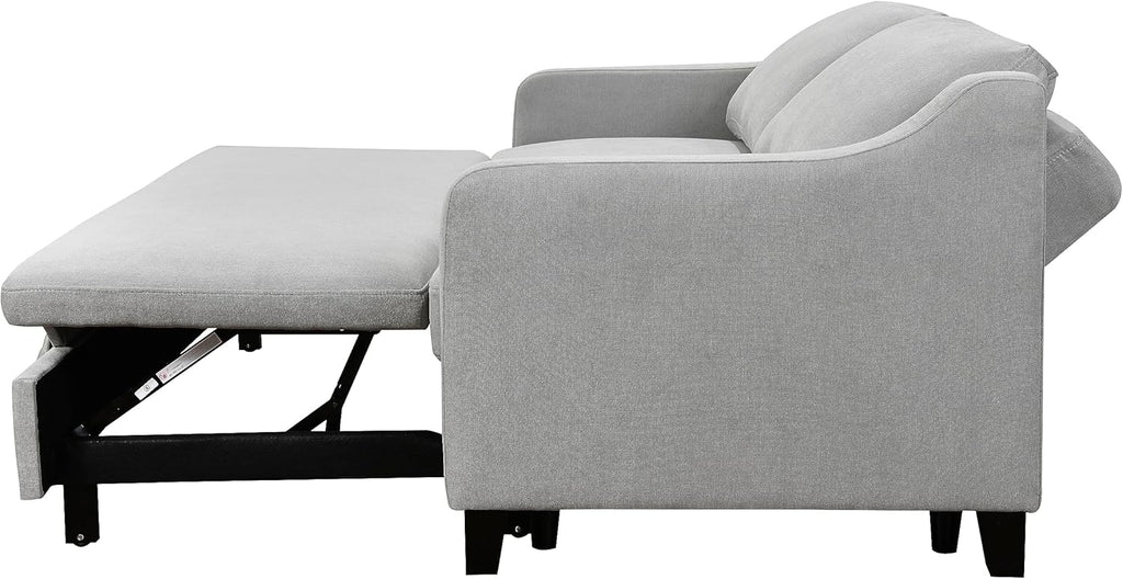 Light Gray Queen Sleeper Sofa Bed with Pullout Bed Z29480