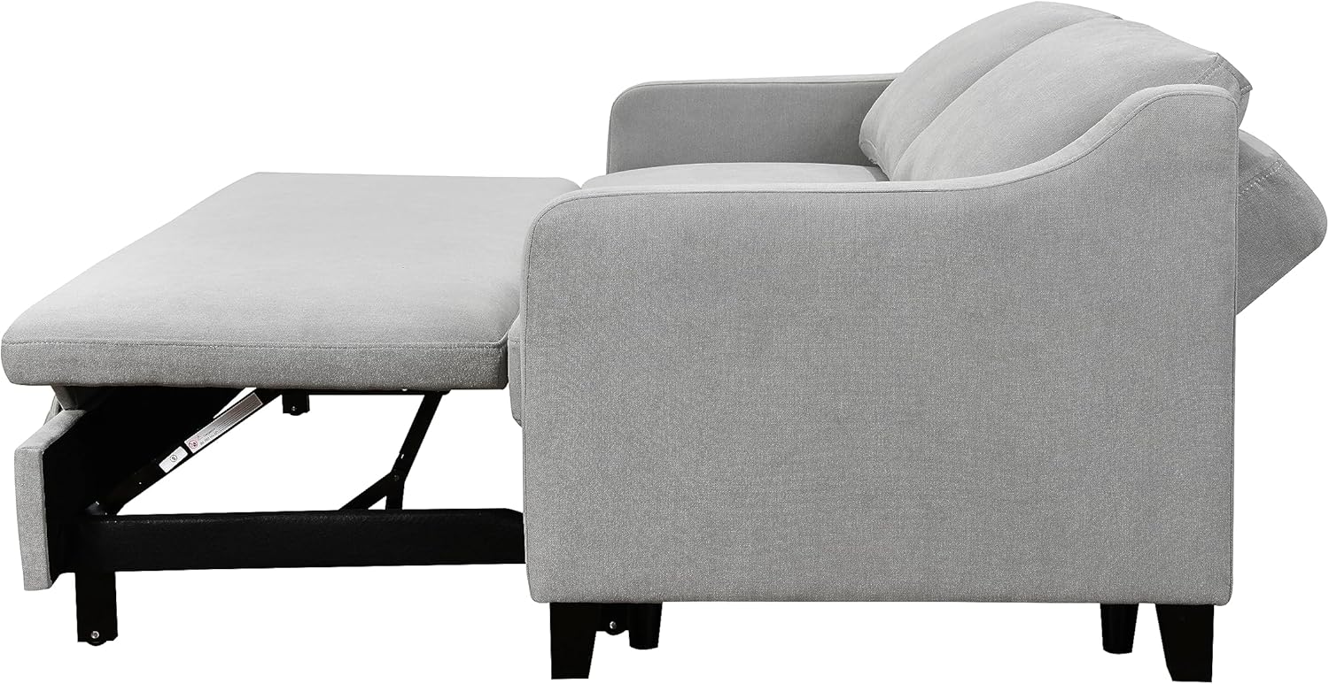 Light Gray Queen Sleeper Sofa Bed with Pullout Bed Z29480
