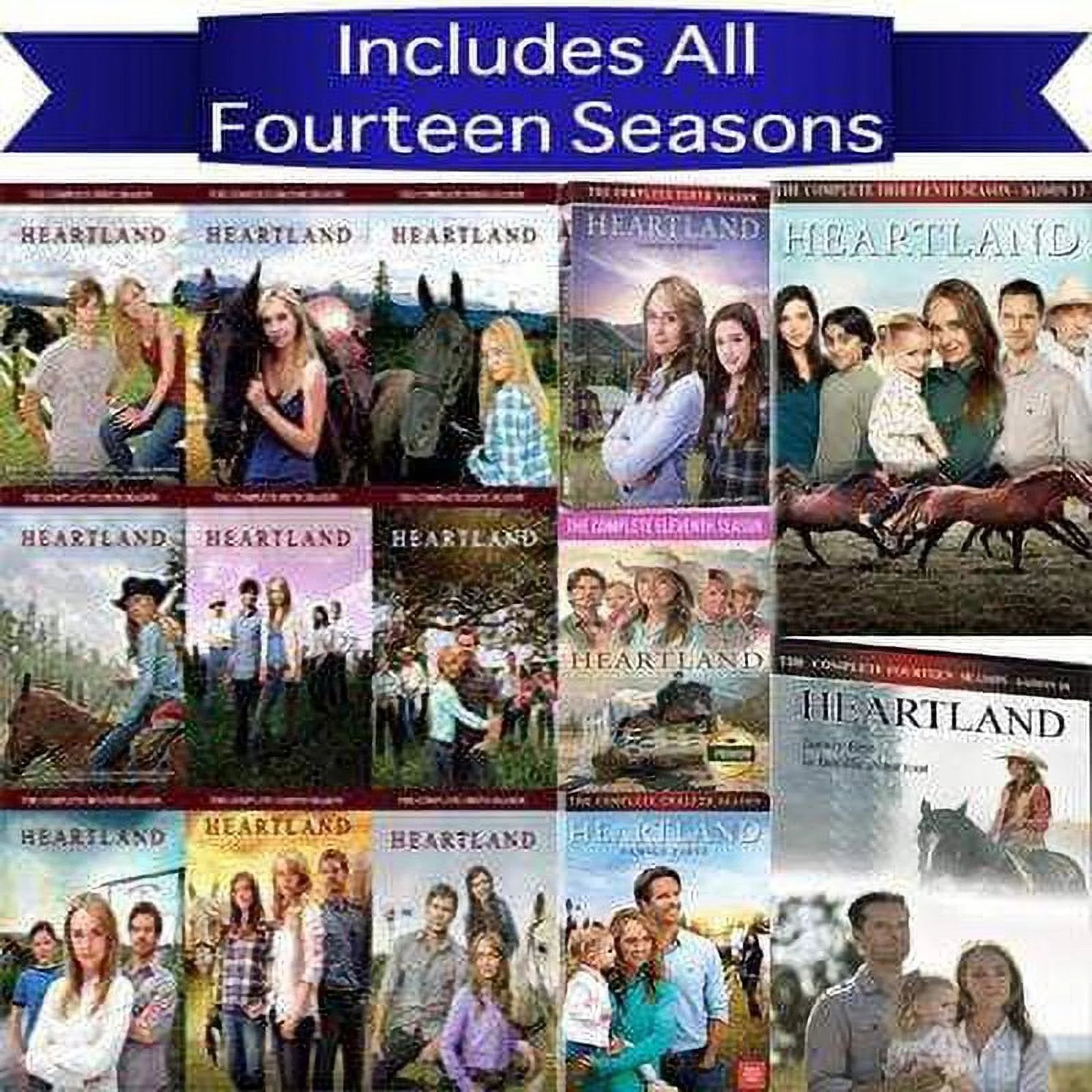 DVD Set Seasons 1-14 Y39566