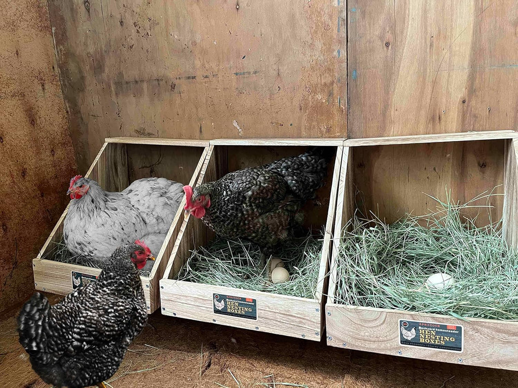 Single Compartment Wood Nesting Box (1 Pack) F10739